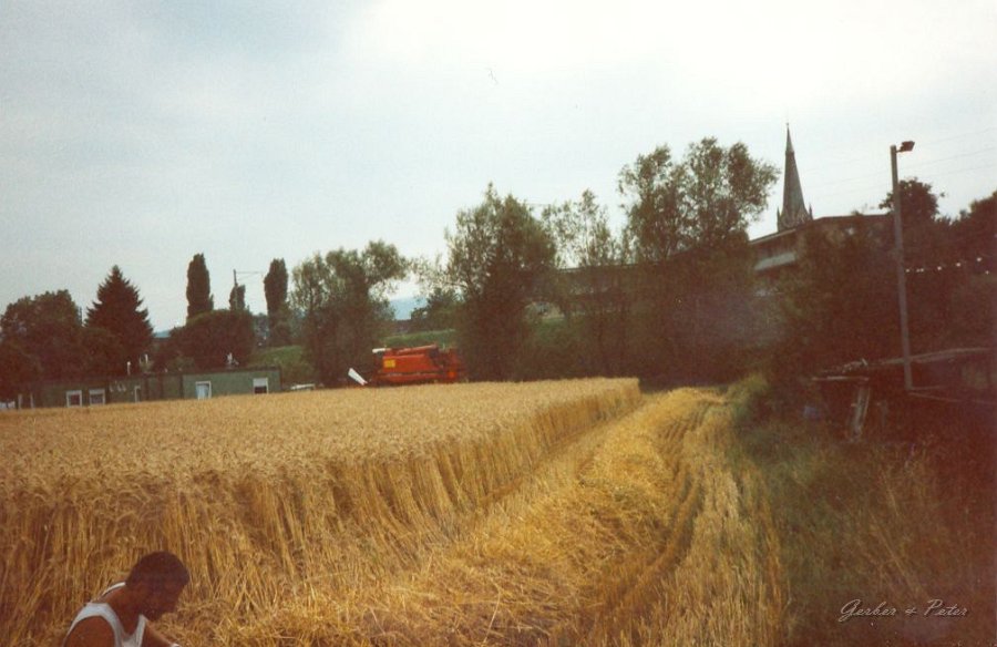International Harvester 1660 21